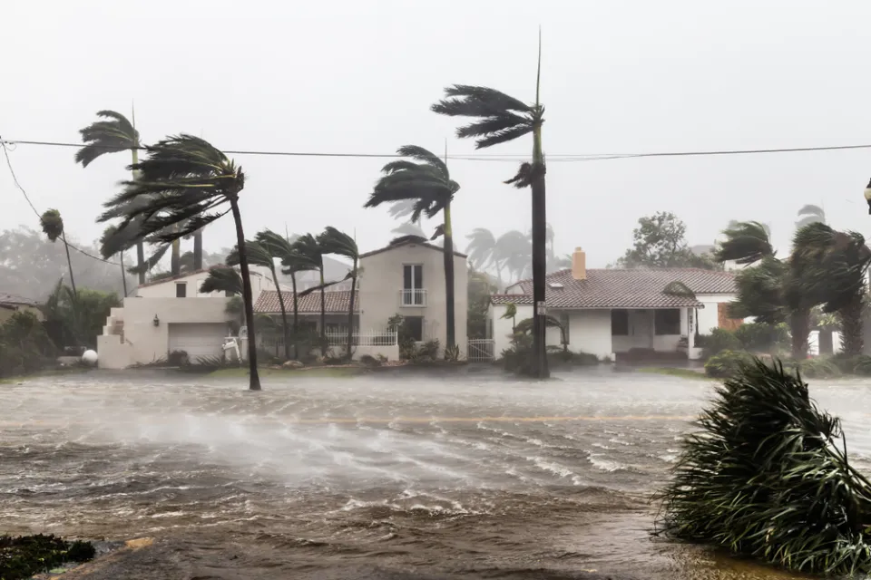 Flooded street with palm trees bending in the wind during Hurricane Irma in Ft. Lauderdale, Florida